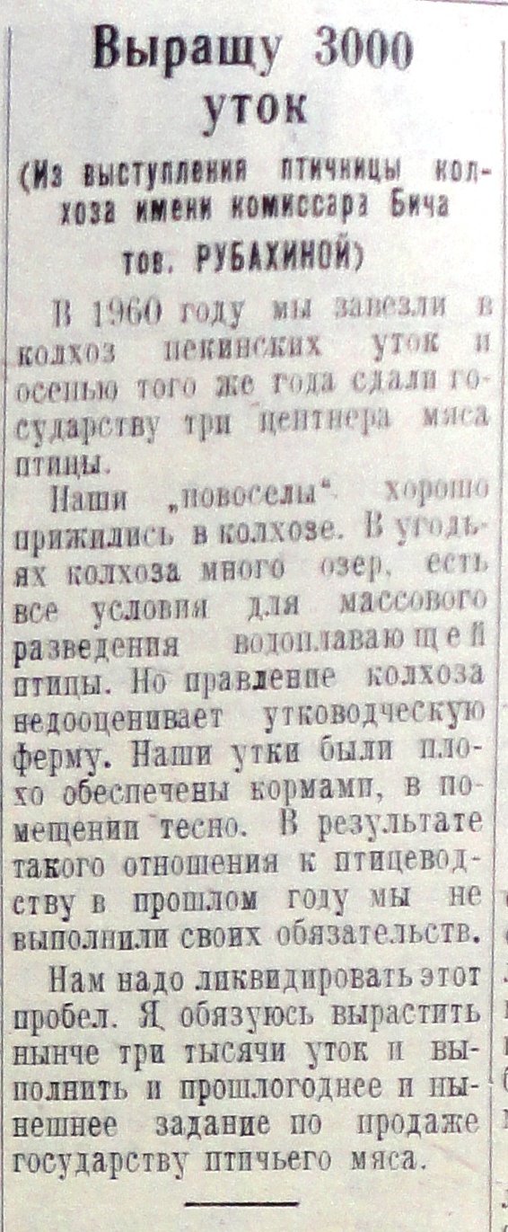 1962 г. утки