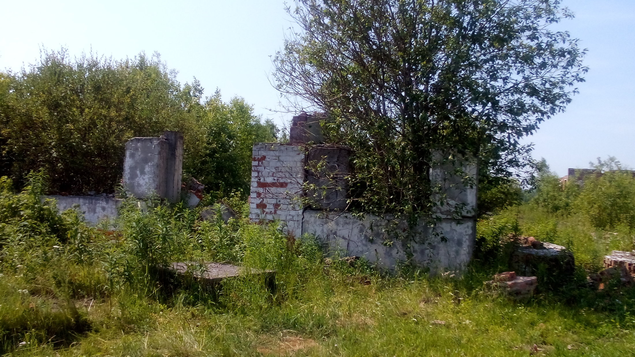 DSC 0012
