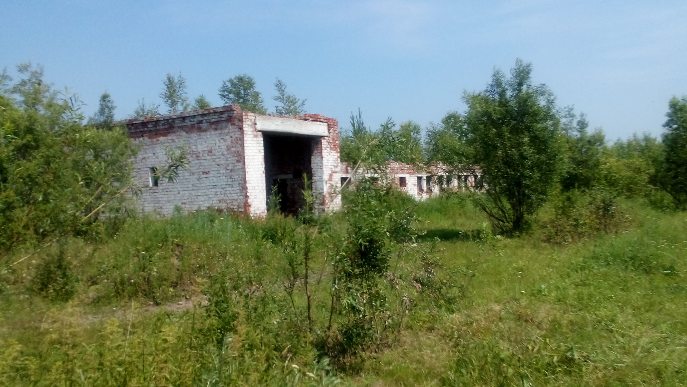 DSC 0013