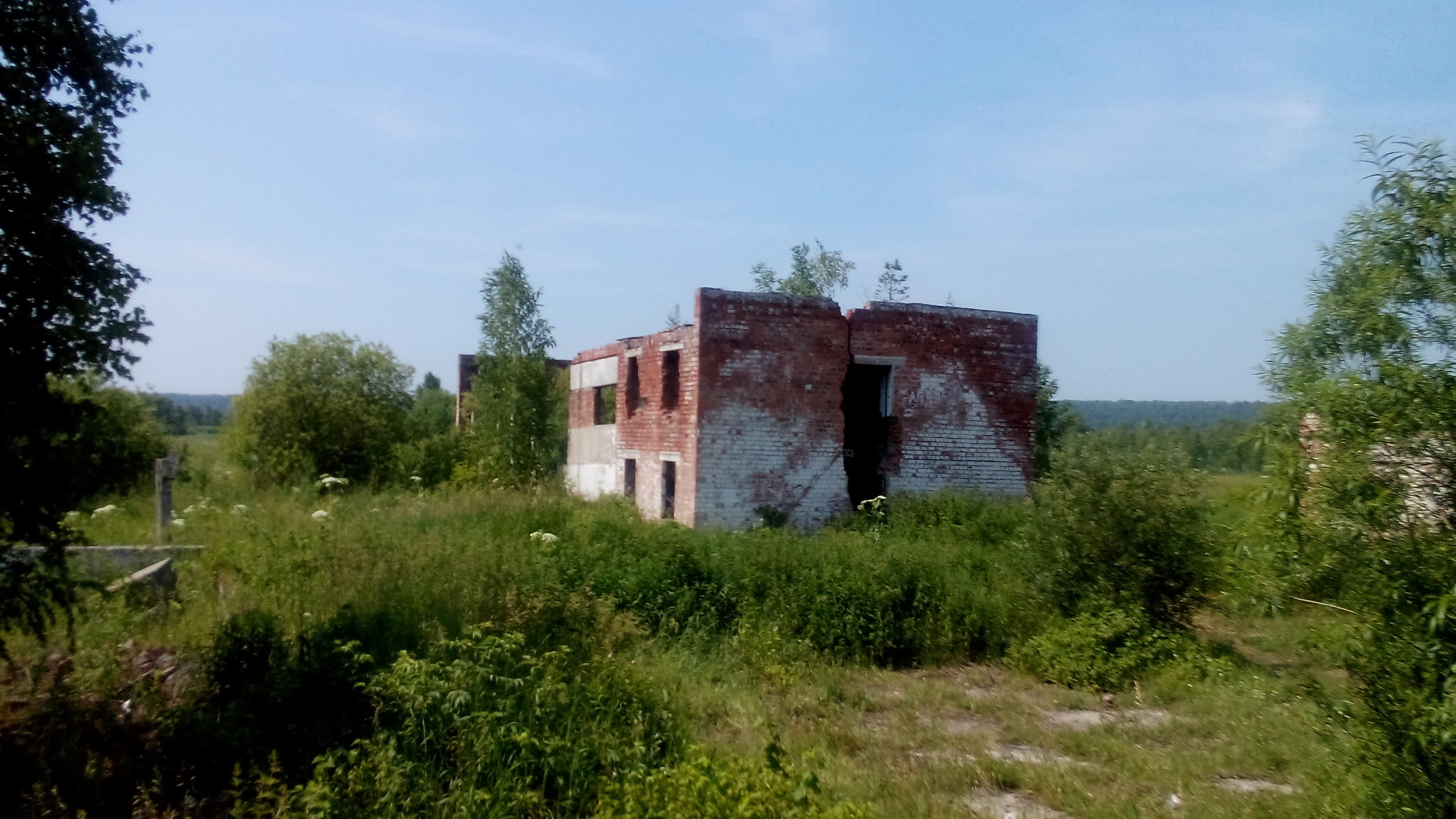 DSC 0015
