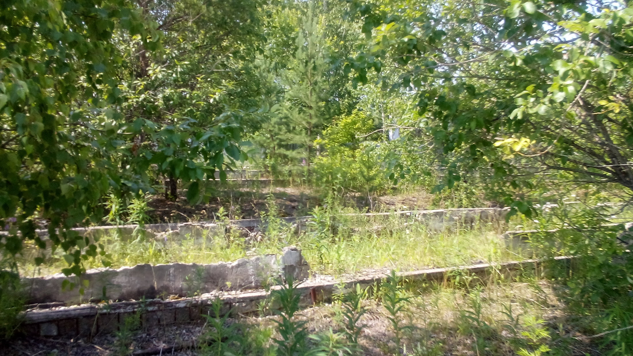 DSC 0016