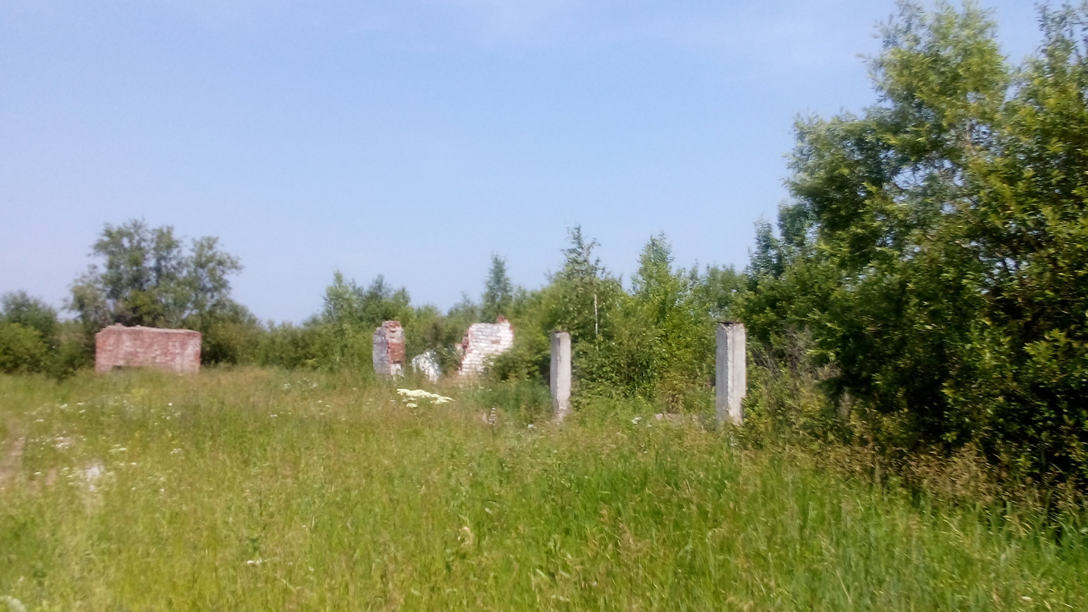 DSC 0017