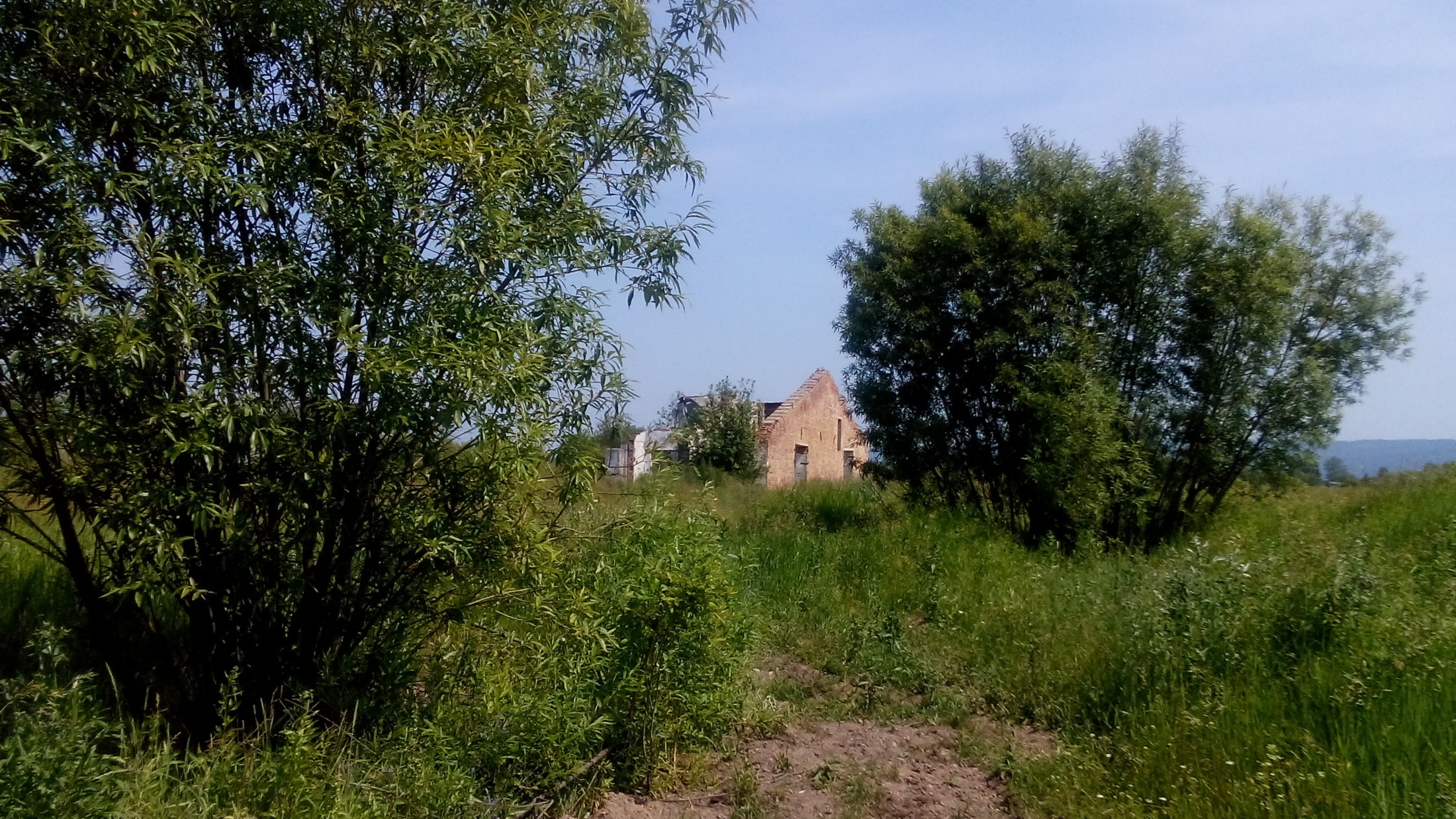 DSC 0019