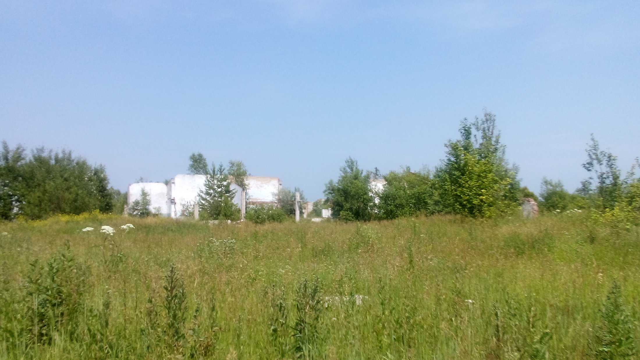 DSC 0020