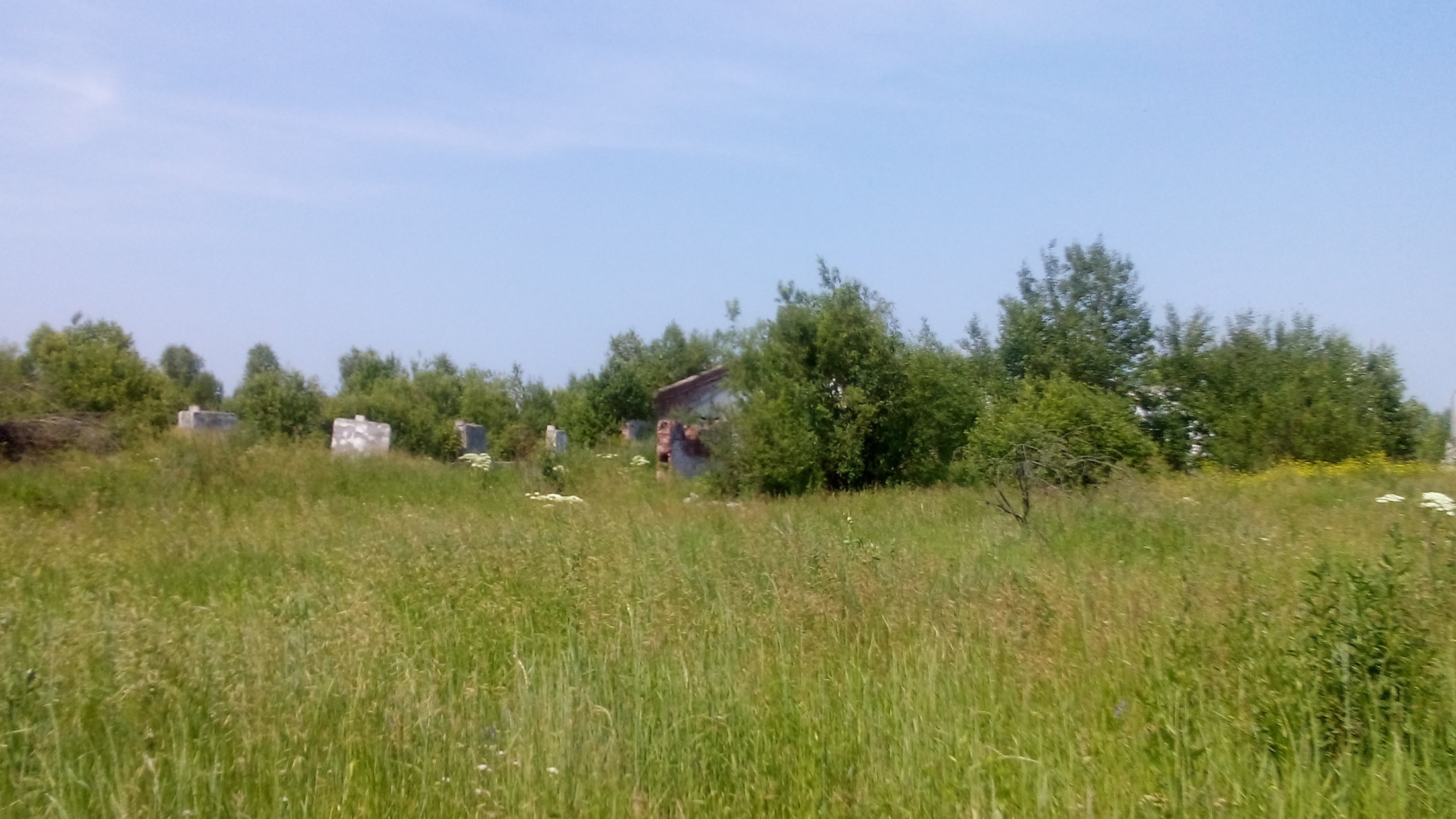 DSC 0021