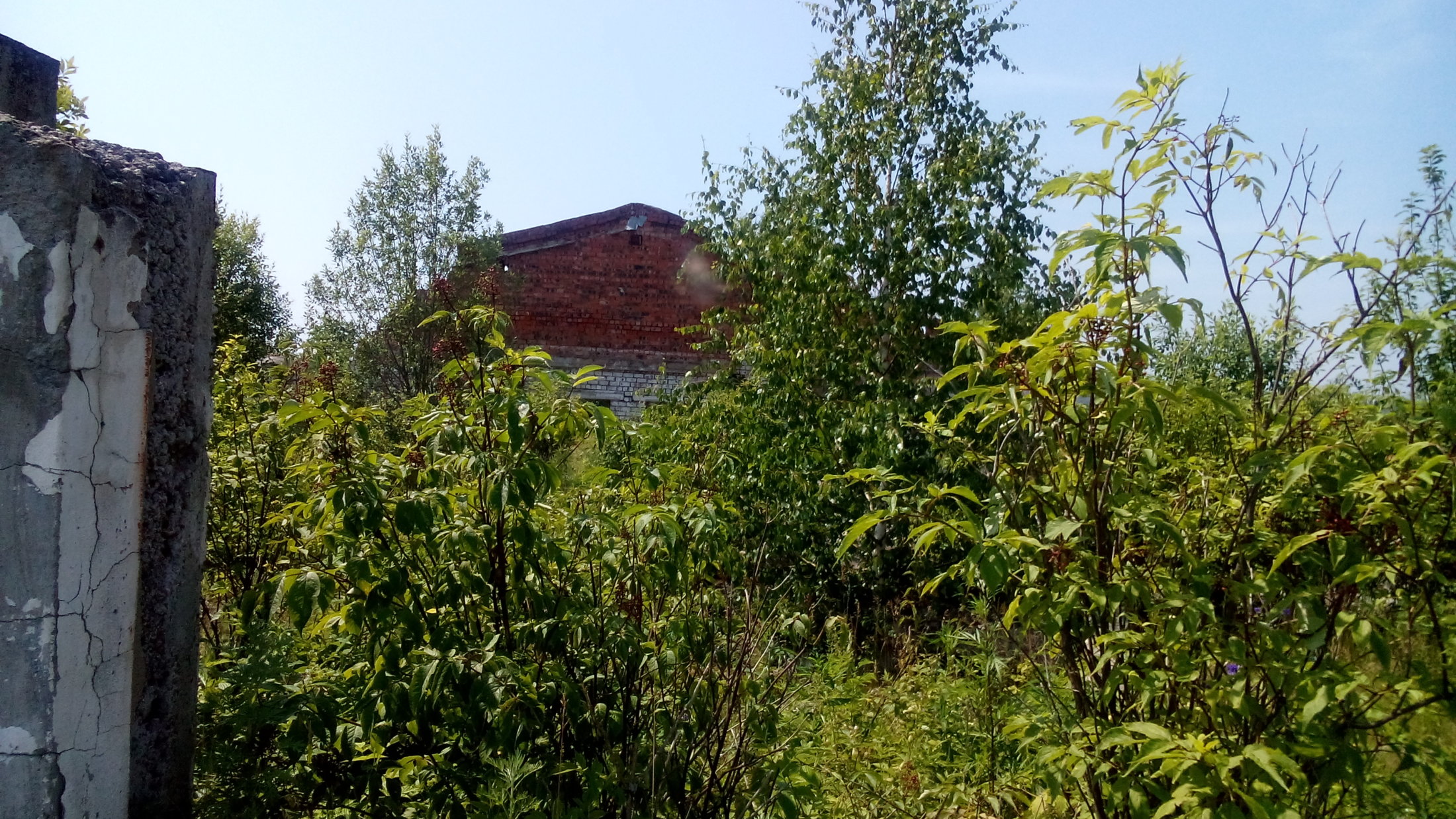 DSC 0030