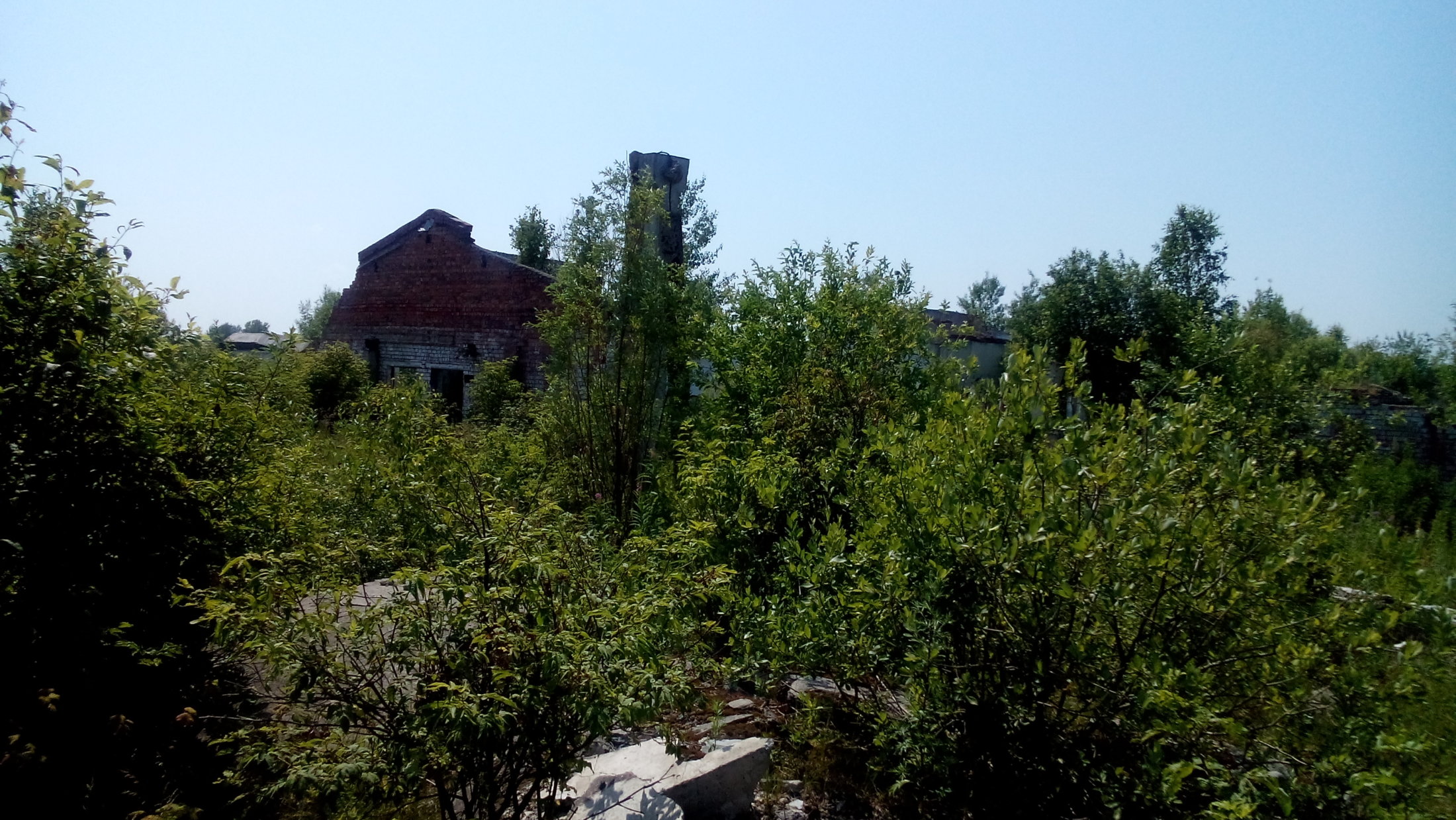 DSC 0032