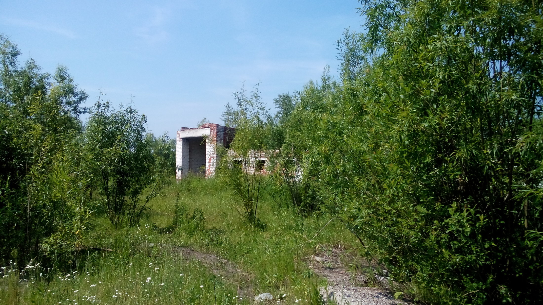 DSC 0036
