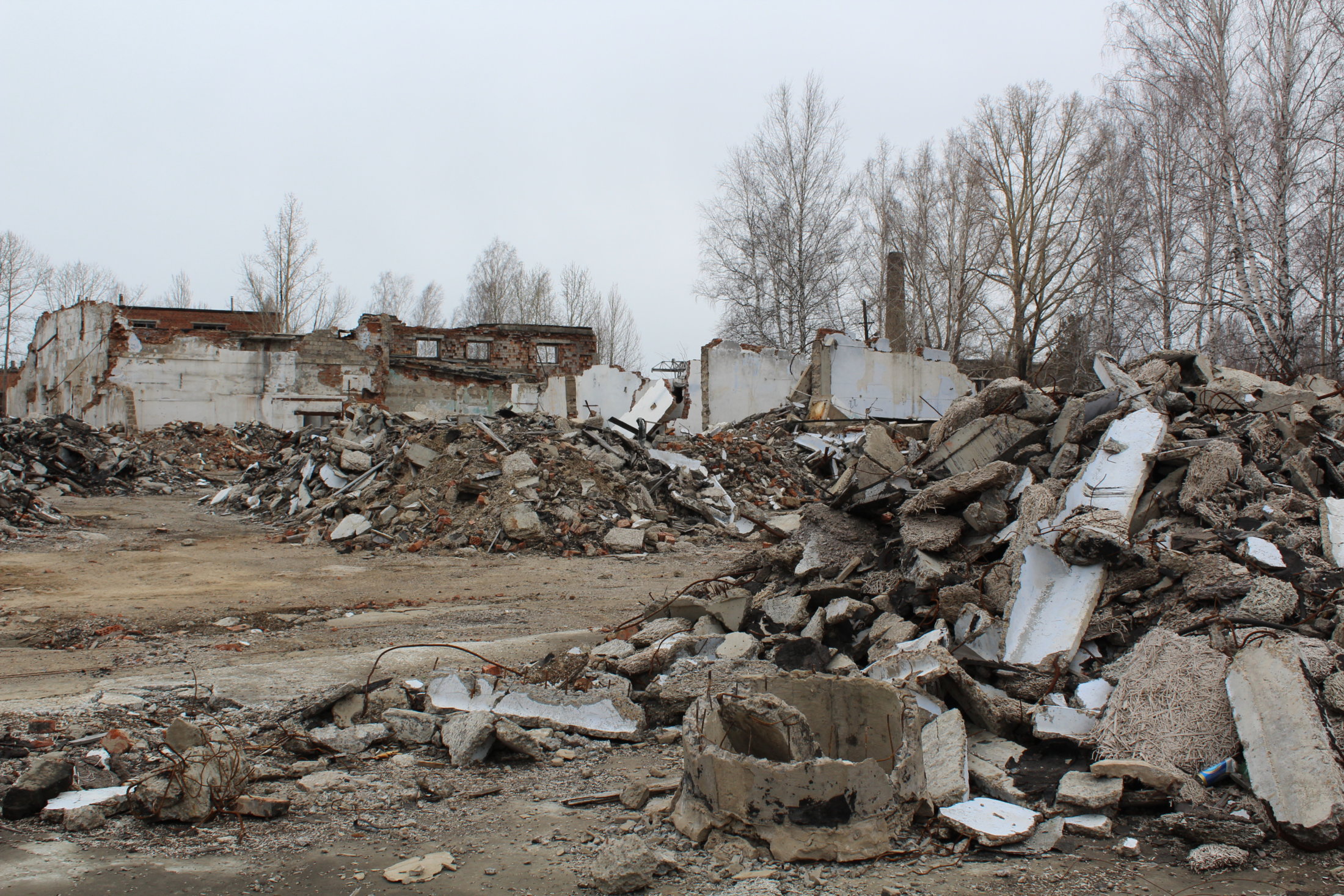 IMG 4710