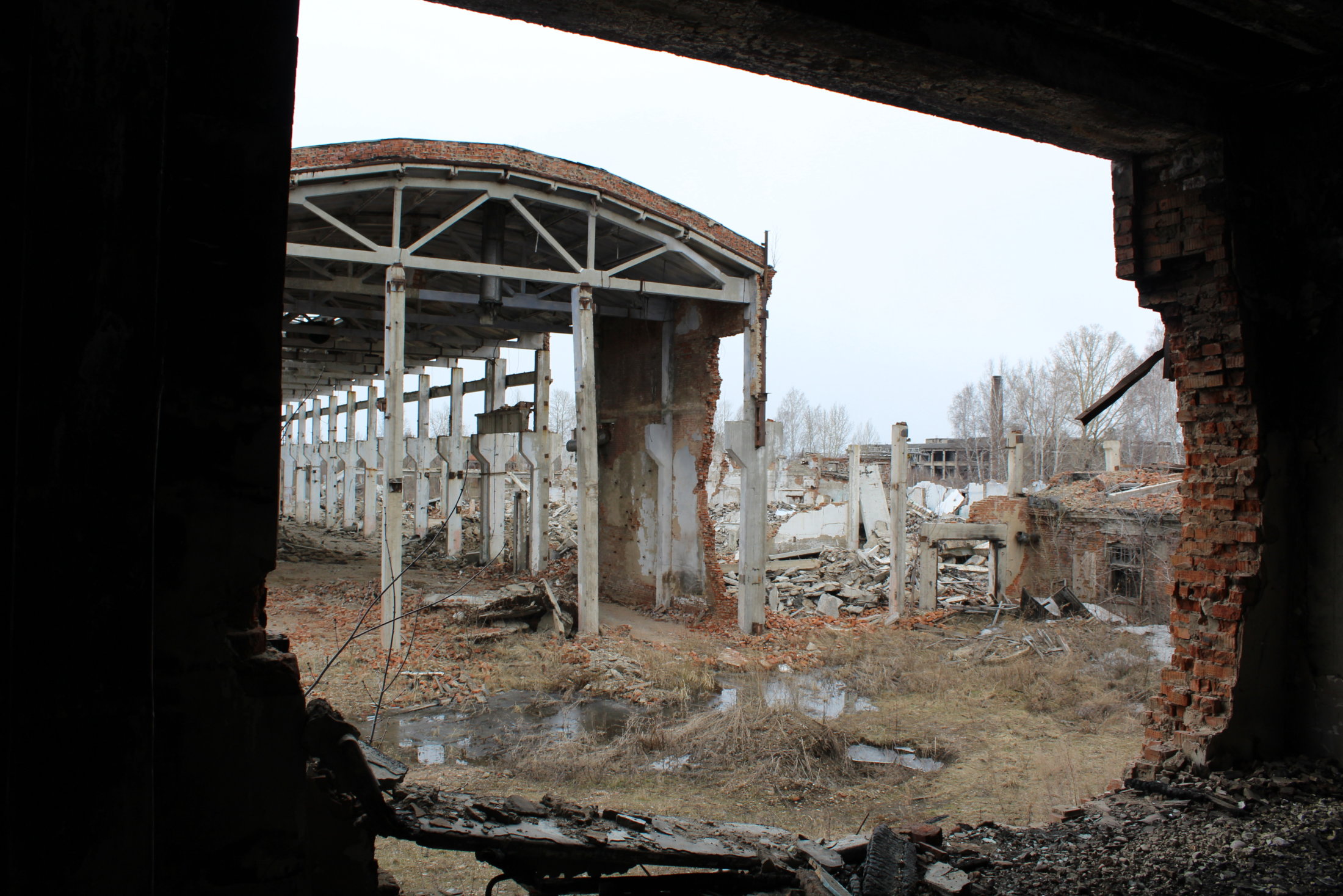 IMG 4735