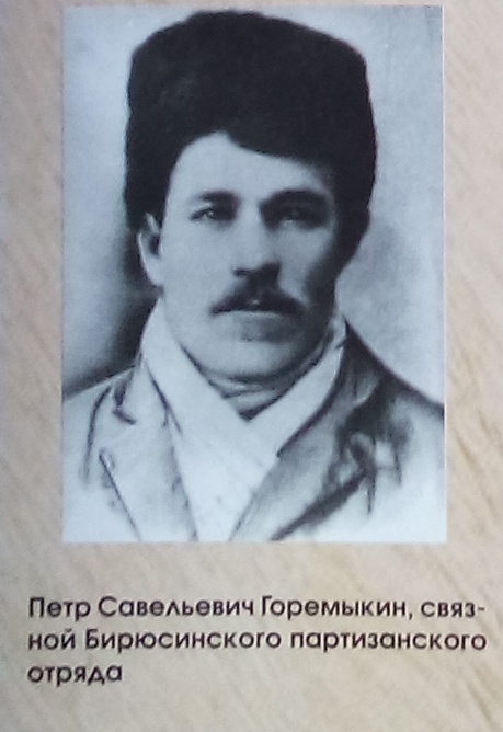 Петр Горемыкин