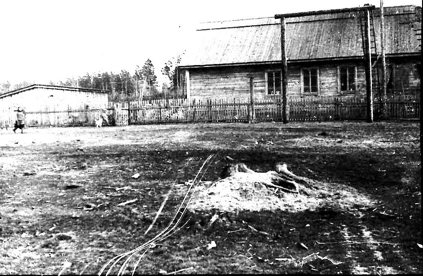 Shkola