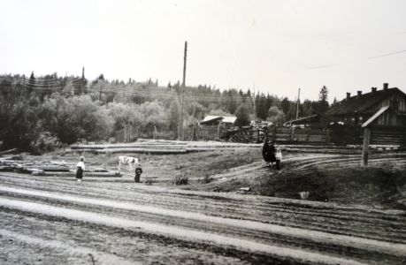 полинчетские улицы 2