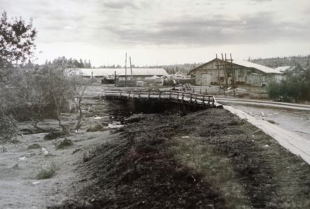 полинчесткие улицы 3