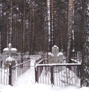 Бережнова М. , Селезнев Е.С. Польско-русский комментарий польских воспоминаний