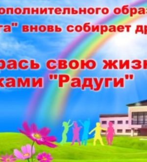 Селезнев Е.С. Постижение педагогической инноватики