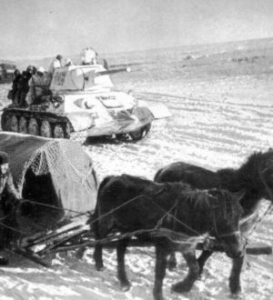 «Обороне — повозки с упряжью» «Красной армии – лошадь»