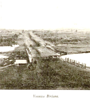 Сражение за с. Бирюса, март — май 1919 г.