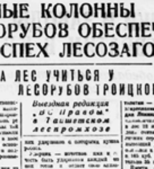 В борьбе за лес учиться у лесорубов Троицкого пункта
