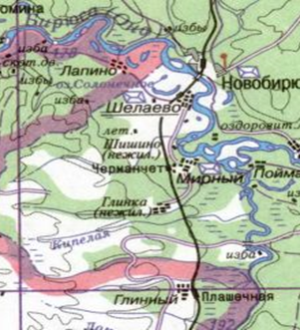 Рождественские прогулки по старой деревне с Дроздовым Валерием и Подскочиной Еленой Юрьевной