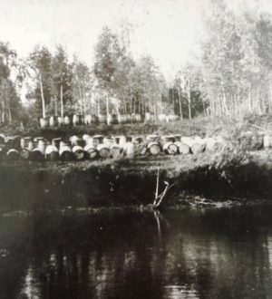 История лесохимической отрасли экономики Тайшетского района (30 – 70 годы ХХ века)