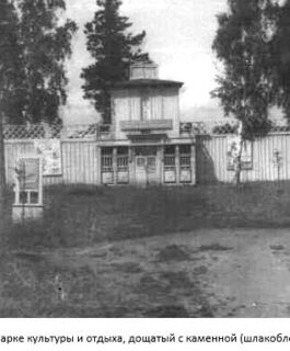 Рубцов П., Селезнев Е.С. История кинофикации Тайшетского района