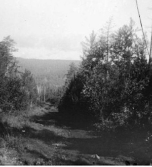 Сто с лишним лет назад (Иркутские губернские ведомости, 1911 год)